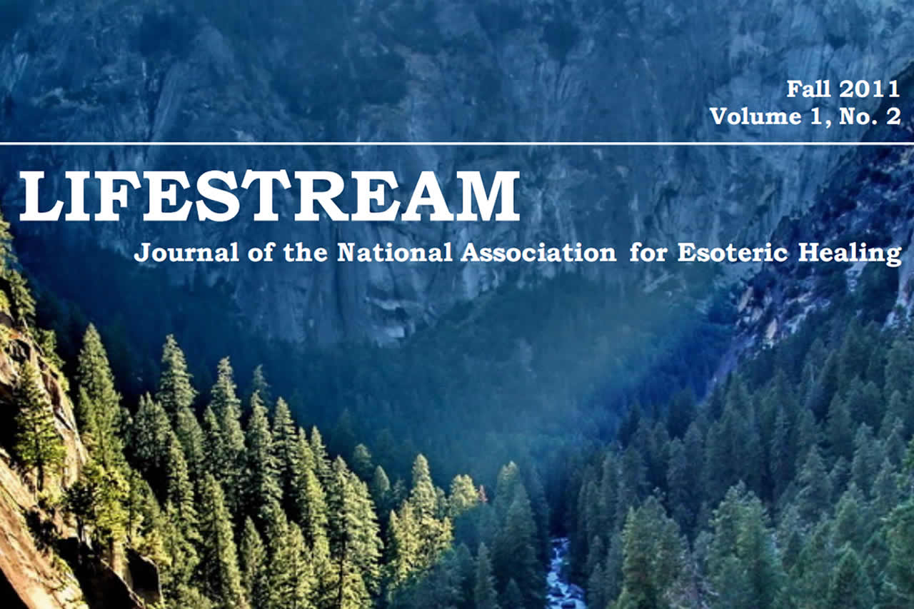 🌀 Lifestream Journal – Fall 2011 Edition - NAEH